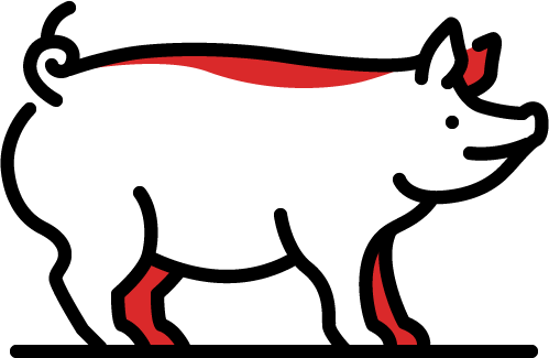 Pork Meat